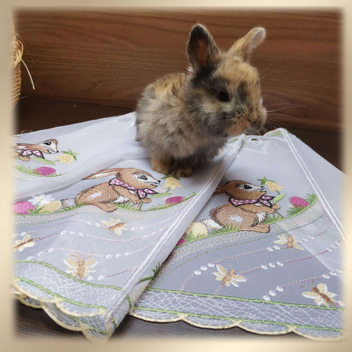 Scheibengardine Osterhase Plauener Spitze Landhaus-Scheibenhänger halbtransparent bunt bestickt mit Osterei Schmetterling Blumen