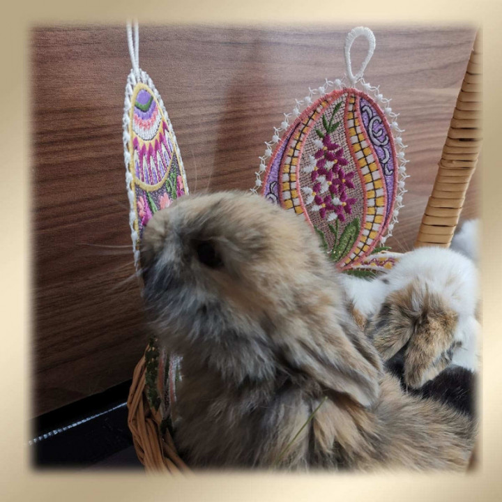 Fensterbilder Ostereier Primel-Blütenrispe blau 21x13 cm - vogtländische Spitze